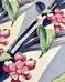 Project Bag Organizer - Vintage 1950s Floral
