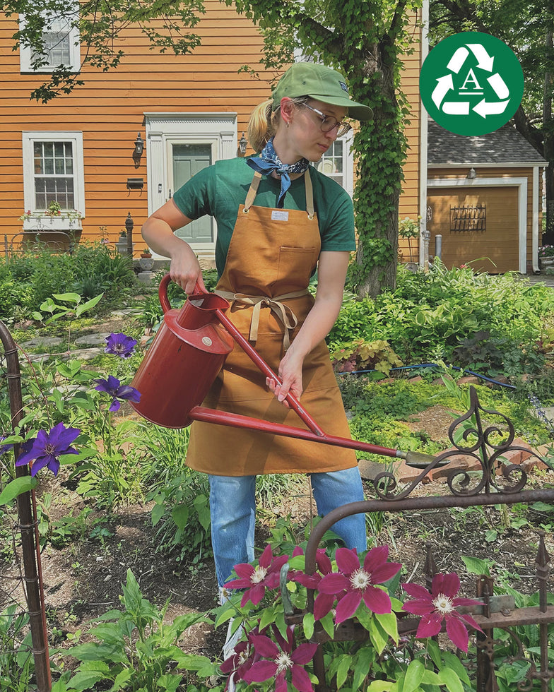 Apron in Certified Organic Canvas - SALE