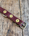 Leather Dog Collar