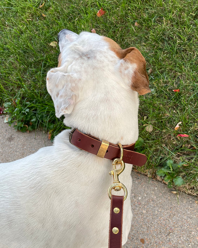 Leather Dog Leash ARTIFACT Handmade in Omaha, NE
